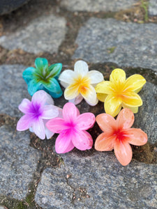 Pinzas flor